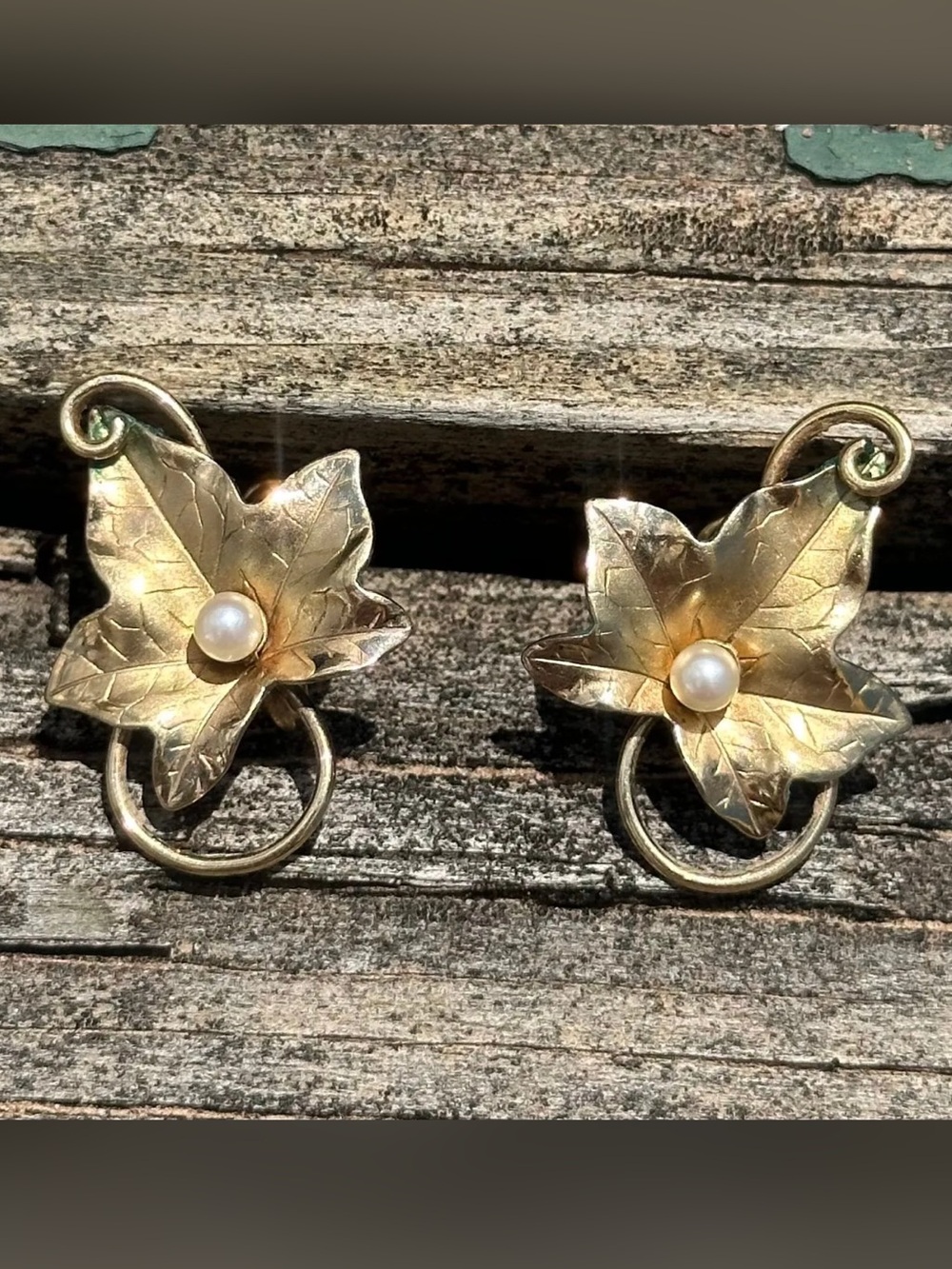 Vintage 1/20 12K Gold Filled Carl Art Inc Leaf Screw Back earrings with cul